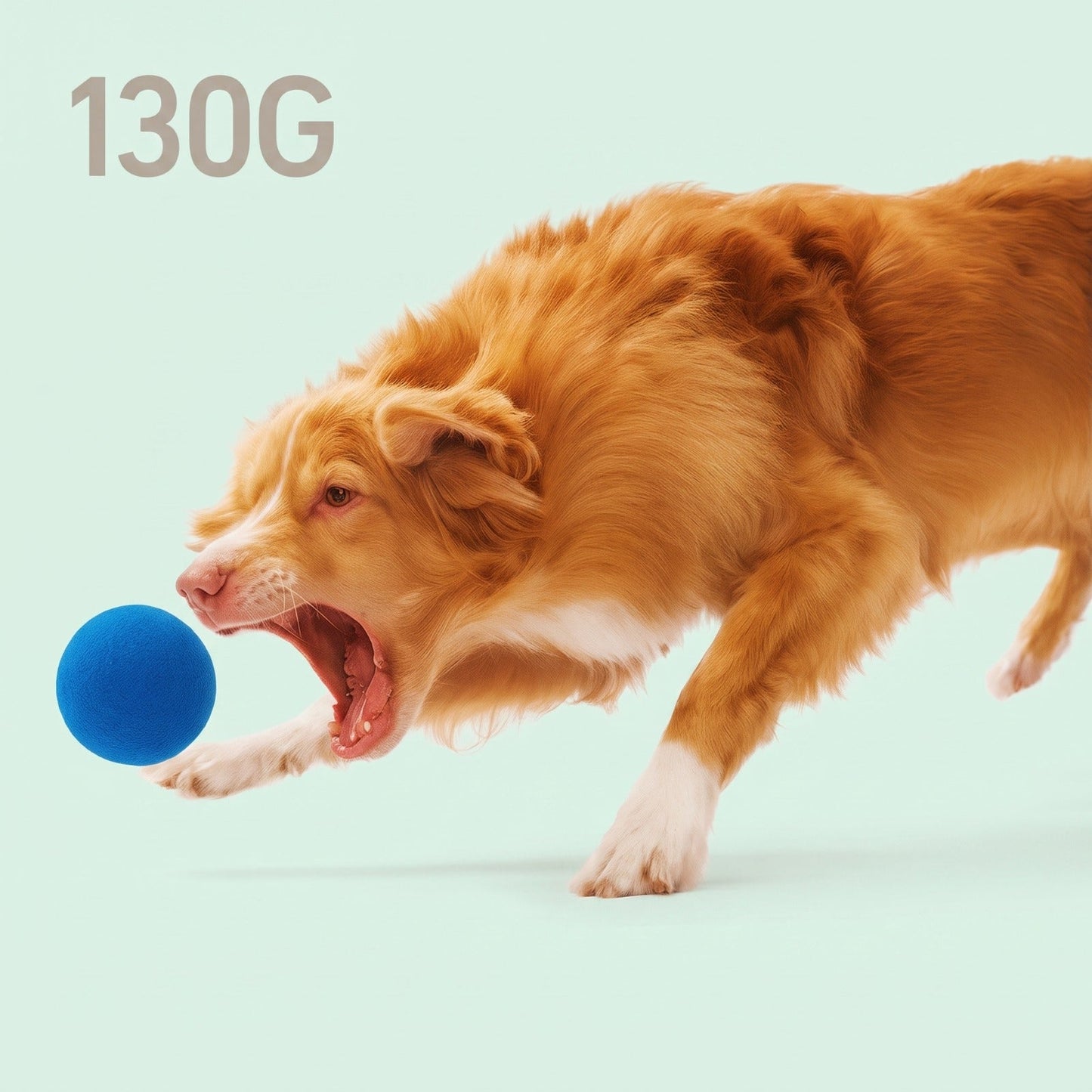 Petnix™ BouncePlay Pro – Smart Play & Exercise