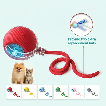 Petnix™ AutoMotion Ball - Active Fun & Stimulation