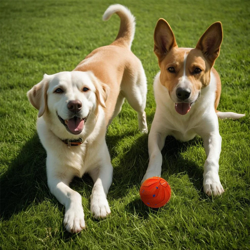 Petnix™ BouncePlay Pro – Smart Play & Exercise