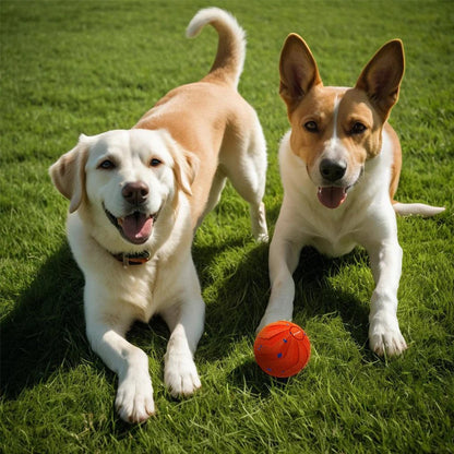 Petnix™ BouncePlay Pro – Smart Play & Exercise
