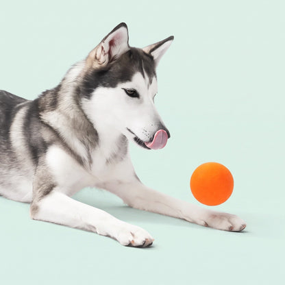 Petnix™ BouncePlay Pro – Smart Play & Exercise