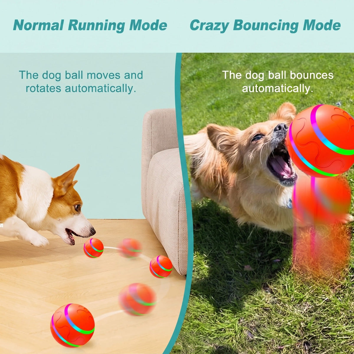 Petnix™ BouncePlay Pro – Smart Play & Exercise