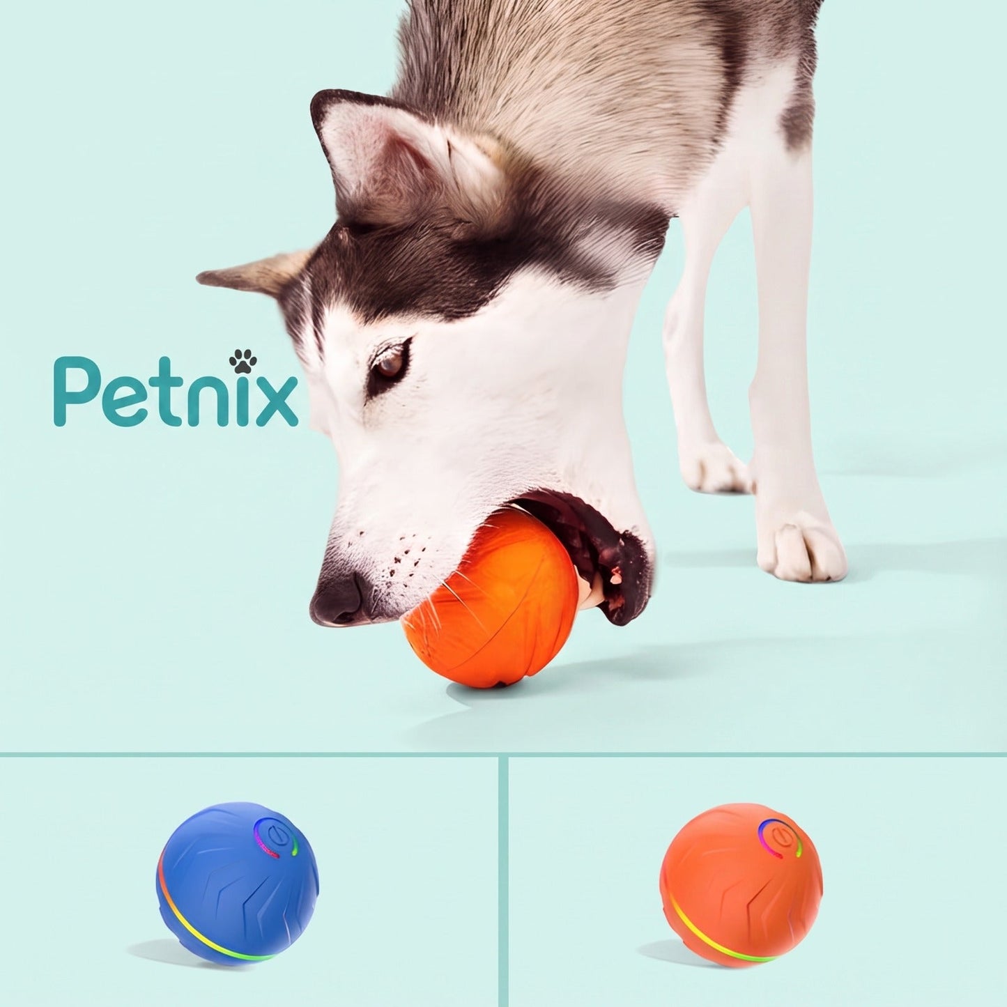 Petnix™ BouncePlay Pro – Smart Play & Exercise