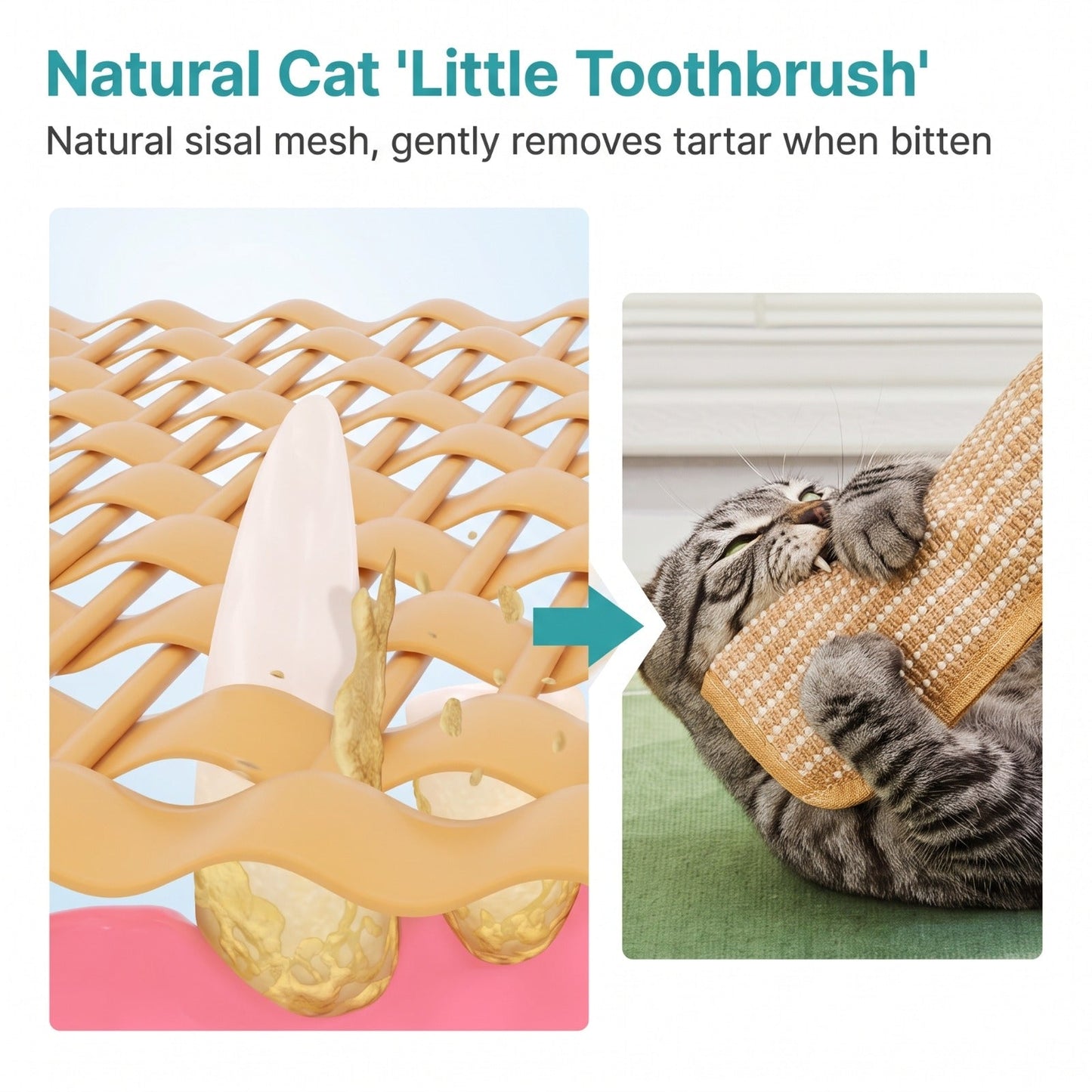 Petnix™ CatnipKick Pro – Interactive Play & Stress Relief